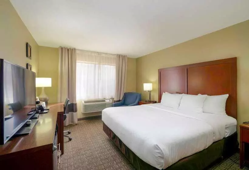 酒店 Comfort Inn Near Gila National Forest