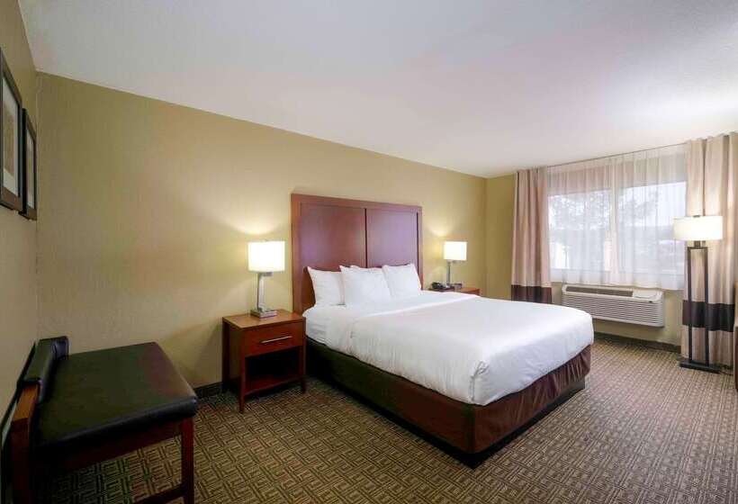 Отель Comfort Inn Near Gila National Forest