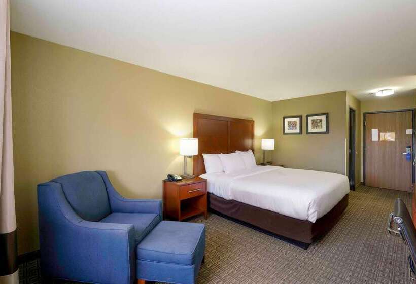 Отель Comfort Inn Near Gila National Forest