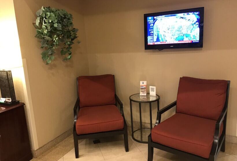 酒店 Comfort Inn Near Gila National Forest