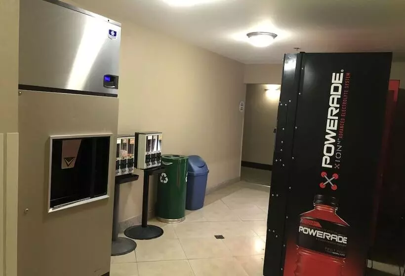 酒店 Comfort Inn Near Gila National Forest