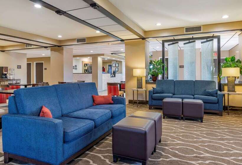 בית מלון כפרי Comfort Inn Opelika  Auburn