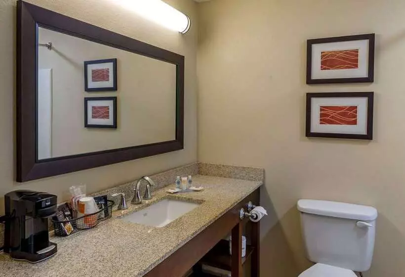 Hotelli Comfort Inn Opelika  Auburn