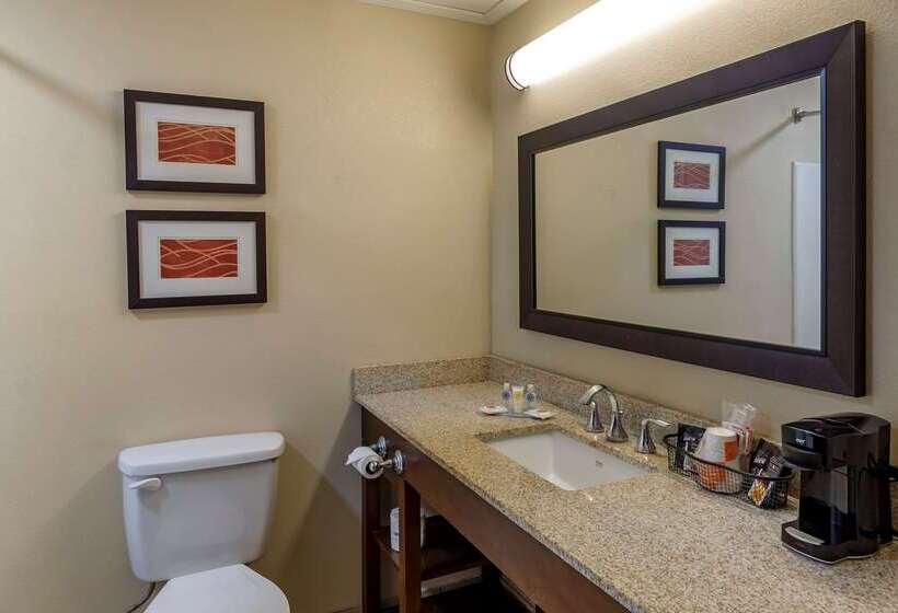 בית מלון כפרי Comfort Inn Opelika  Auburn