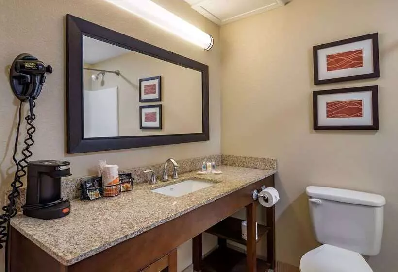 Hotelli Comfort Inn Opelika  Auburn