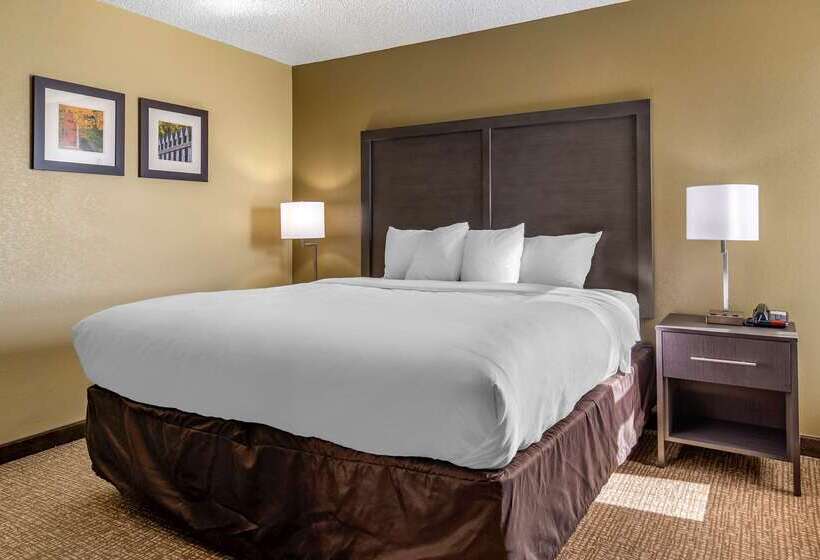 בית מלון כפרי Comfort Inn Opelika  Auburn
