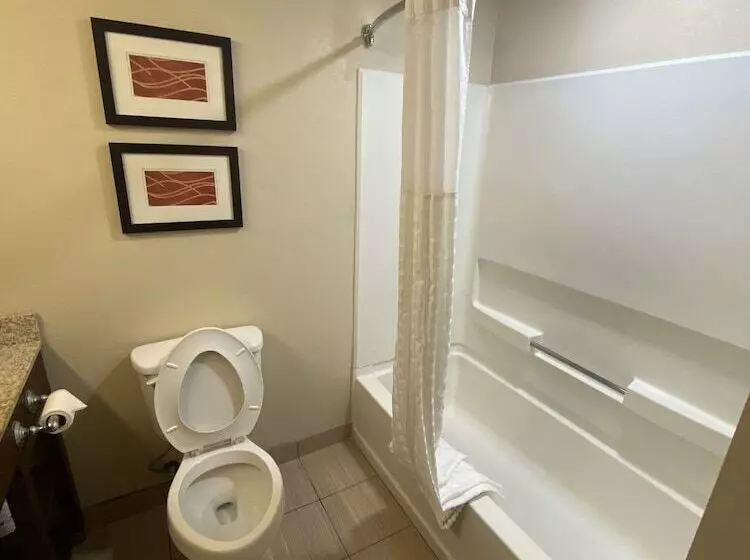 Hotelli Comfort Inn Opelika  Auburn