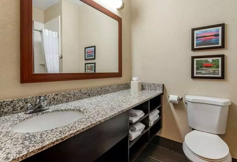 בית מלון כפרי Comfort Inn Shelbyville North