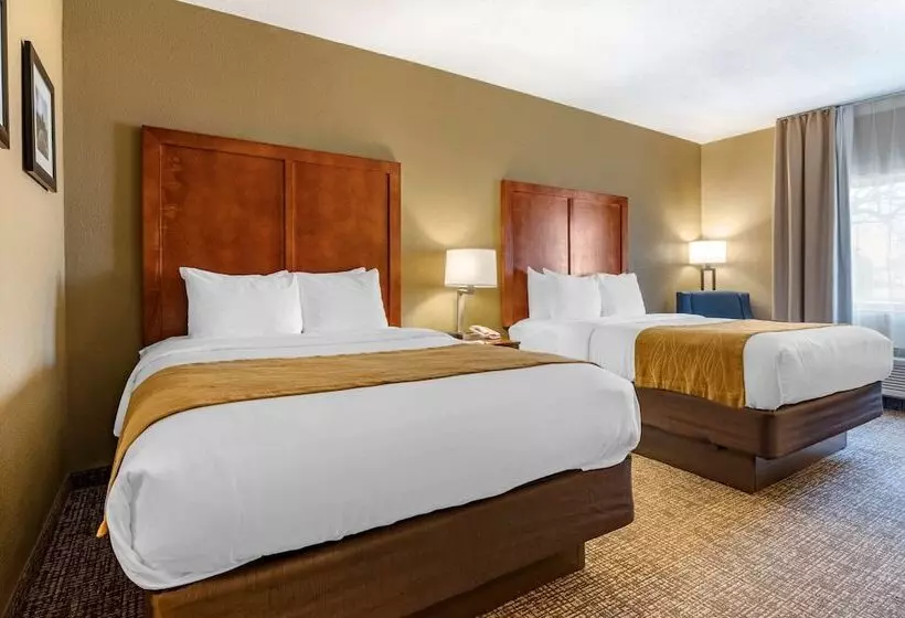 בית מלון כפרי Comfort Inn Shelbyville North