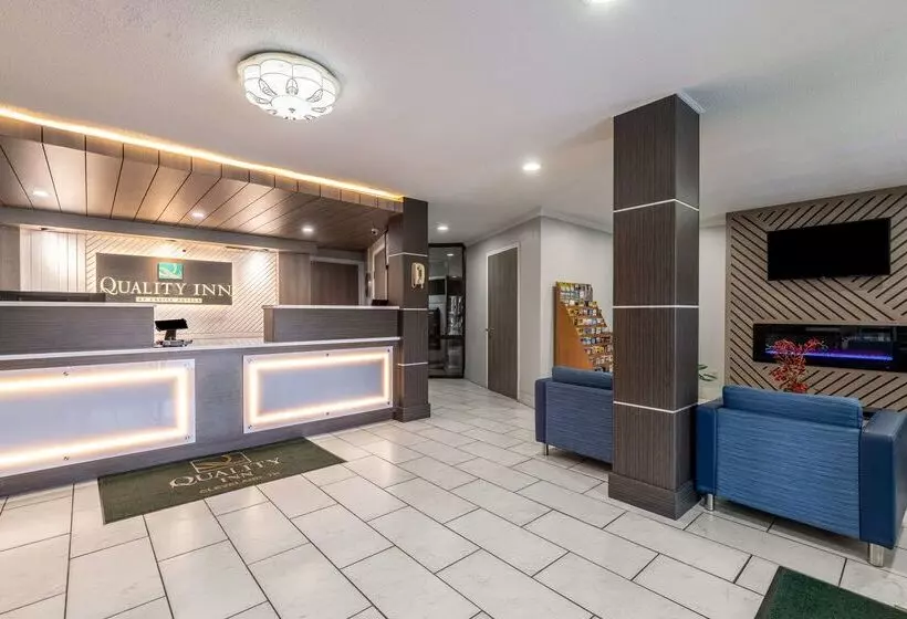 Отель Quality Inn