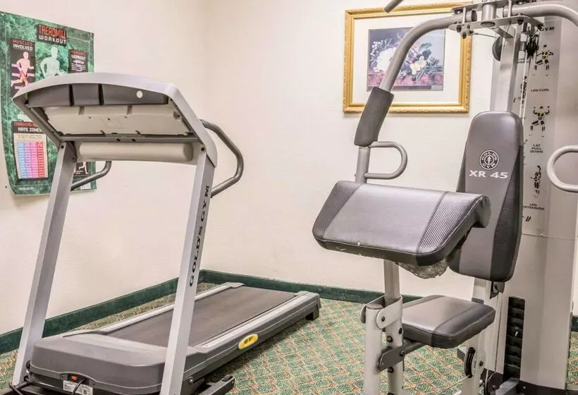 Отель Quality Inn I94 Near Wings Stadium