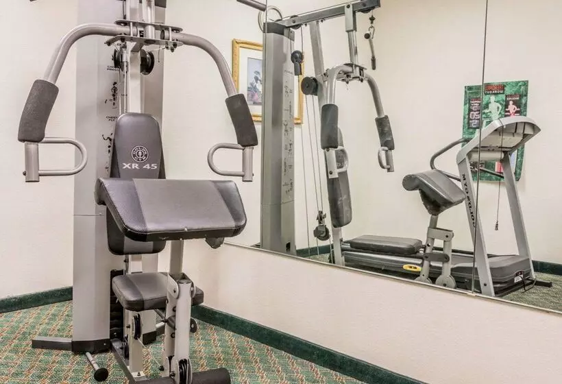 Отель Quality Inn I94 Near Wings Stadium