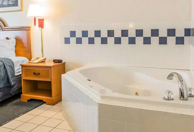 Отель Quality Inn I94 Near Wings Stadium