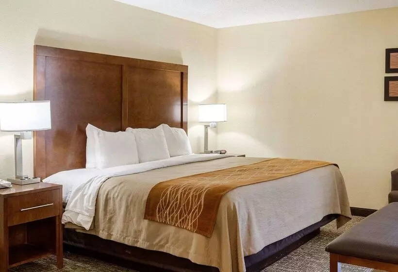 호텔 Quality Inn Olive Branch