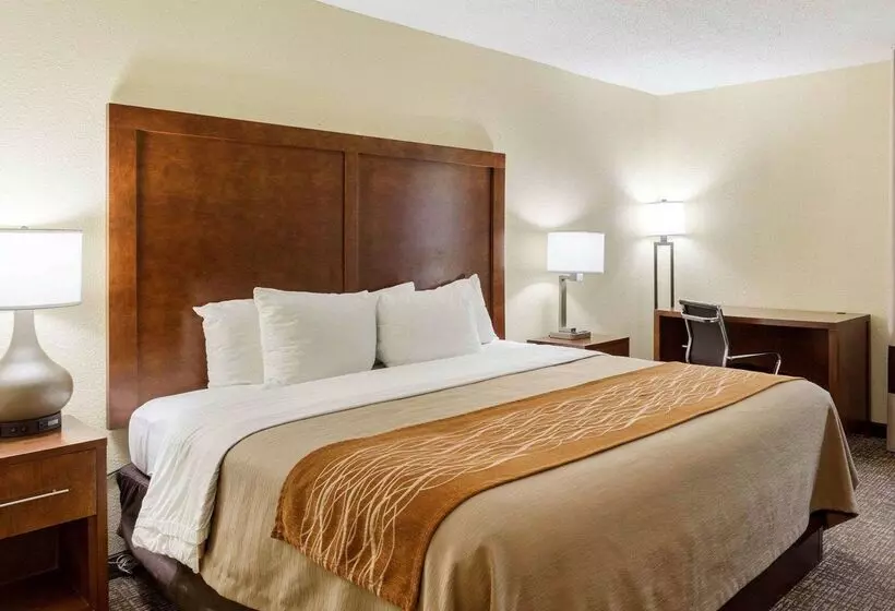 호텔 Quality Inn Olive Branch