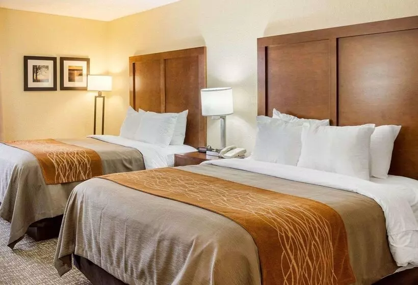 호텔 Quality Inn Olive Branch