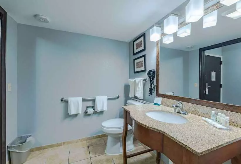 호텔 Quality Inn Olive Branch