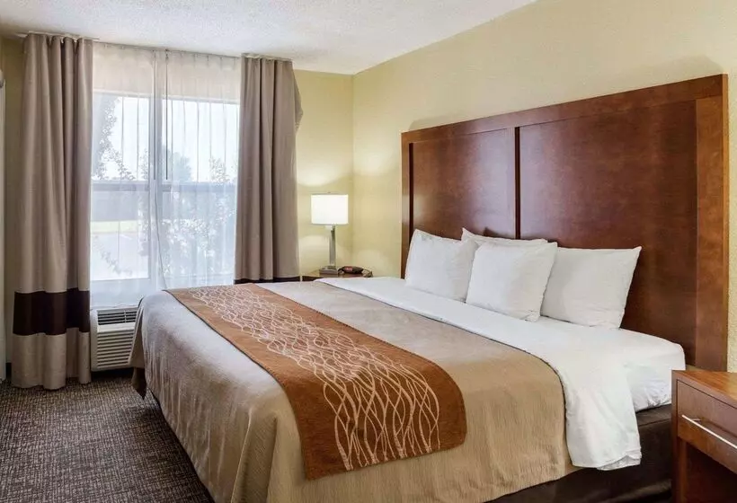 호텔 Quality Inn Olive Branch