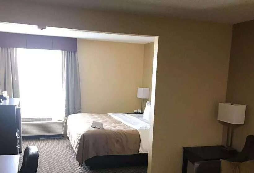 ホテル Quality Inn & Suites Mendota Near I 39