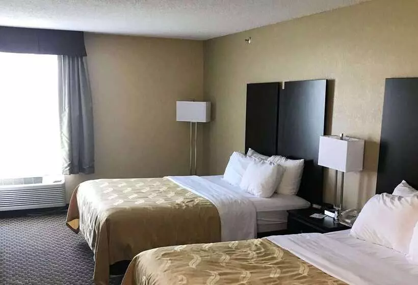 ホテル Quality Inn & Suites Mendota Near I 39