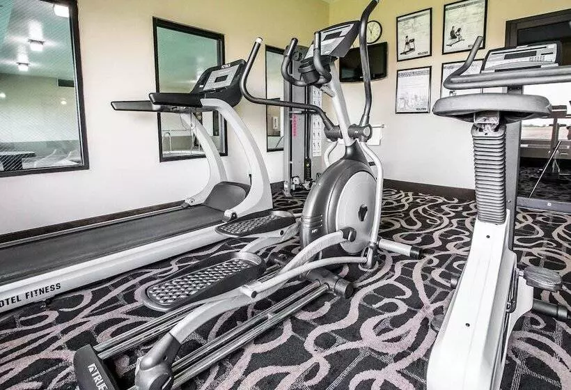 ホテル Quality Inn & Suites Mendota Near I 39