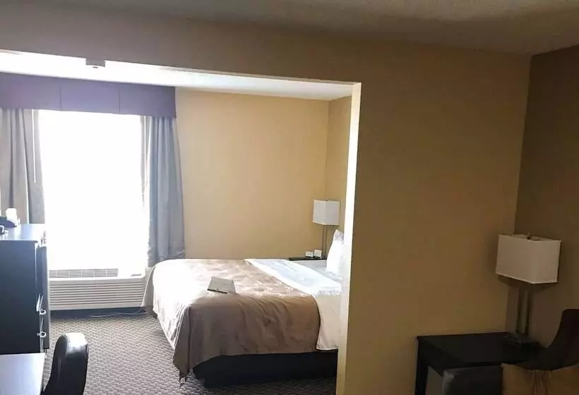 ホテル Quality Inn & Suites Mendota Near I 39