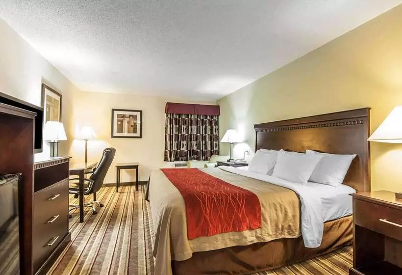 ホテル Quality Inn