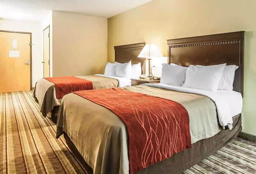 ホテル Quality Inn