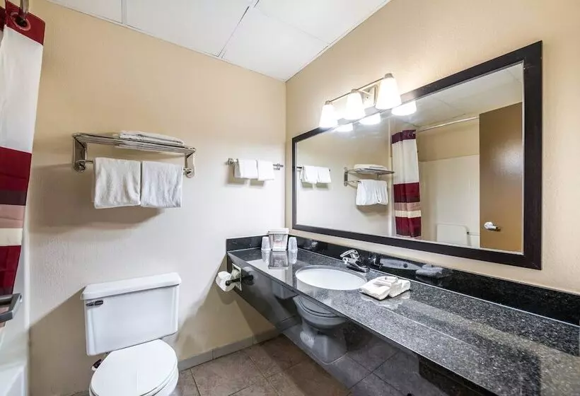 ホテル Red Roof Inn Palatine