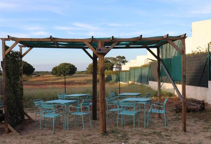 ユースホステル Sublime Sun & Van By Meco Stays