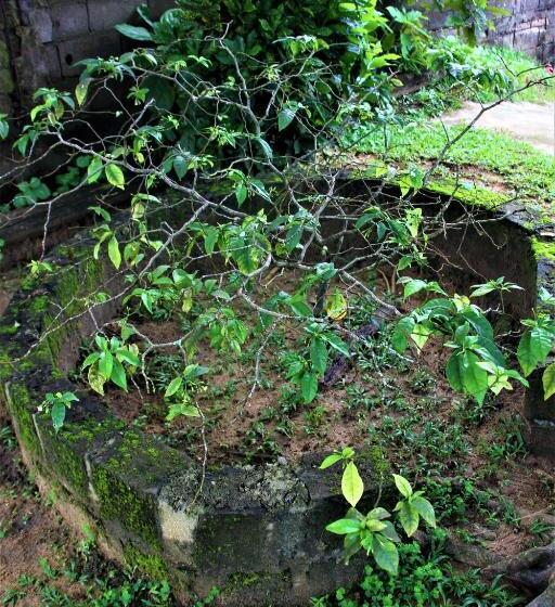 پانسیون Ocean Si Mansion