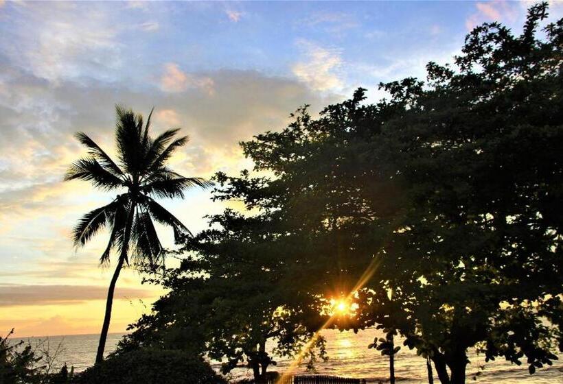 پانسیون Ocean Si Mansion