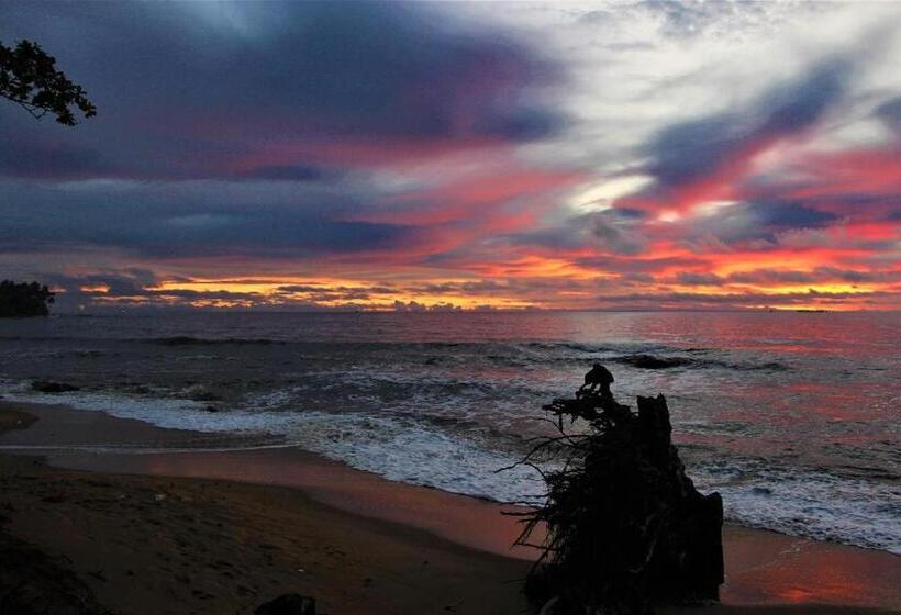 پانسیون Ocean Si Mansion