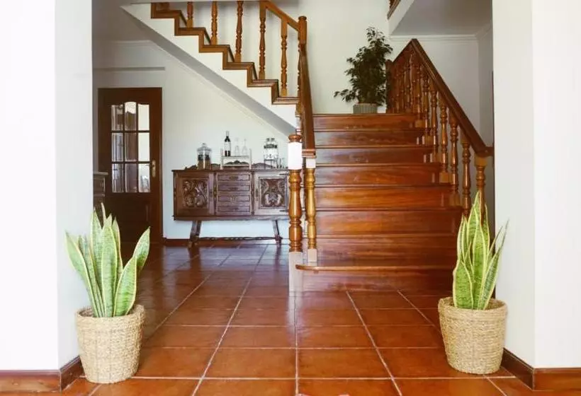 تختخواب و صبحانه Martin's Villa