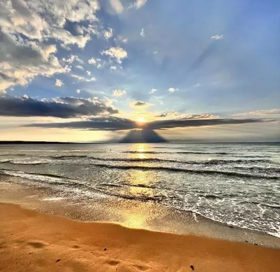 ホテル Palma Beach
