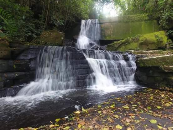 Пансион Pousada Vale Dos Figos