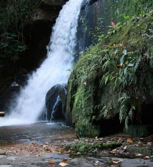Пансион Pousada Vale Dos Figos