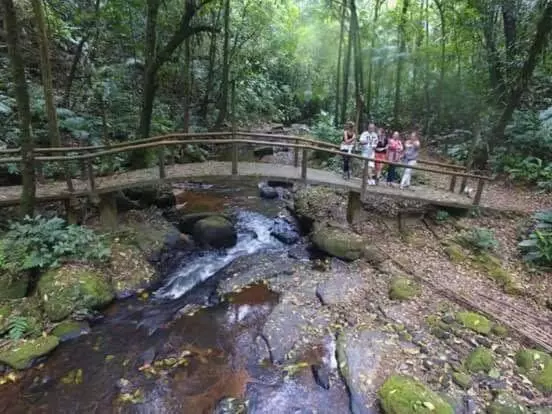 ペンション Pousada Vale Dos Figos