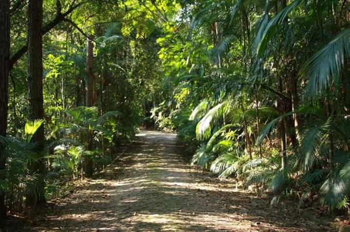 Пансион Pousada Vale Dos Figos