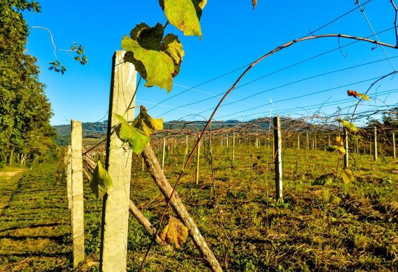 Пансион Pousada Vale Dos Figos