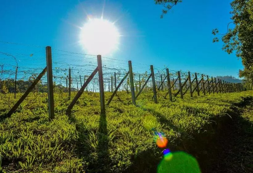 ペンション Pousada Vale Dos Figos