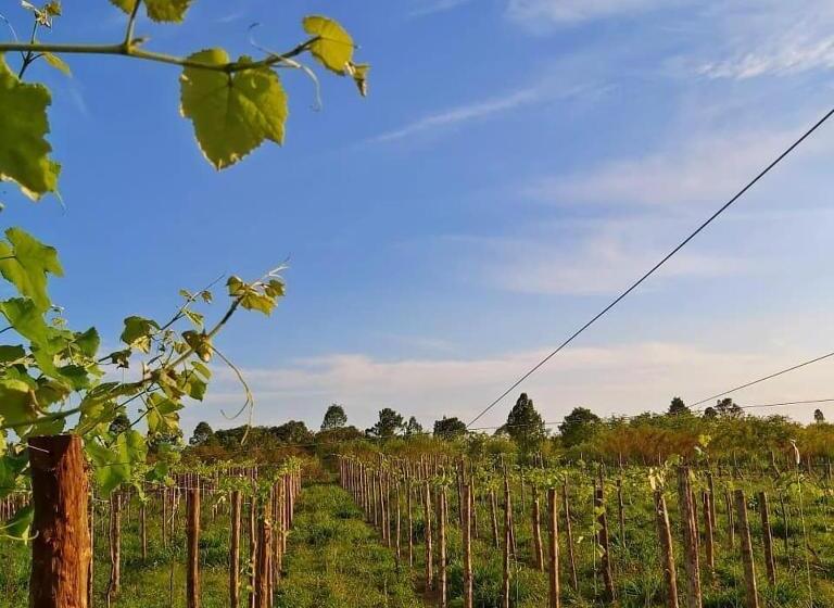 Пансион Pousada Vale Dos Figos