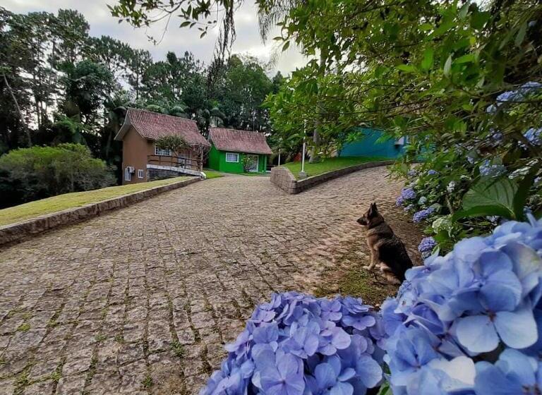 Пансион Pousada Vale Dos Figos