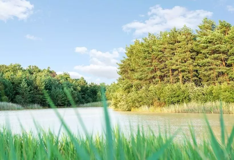 Hotelli The Originals Le Manoir De Pierre Levée