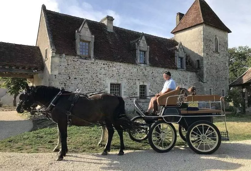 Hotelli The Originals Le Manoir De Pierre Levée