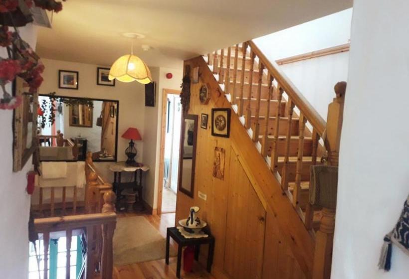 פנסיון Vaughans Pub/accommodation