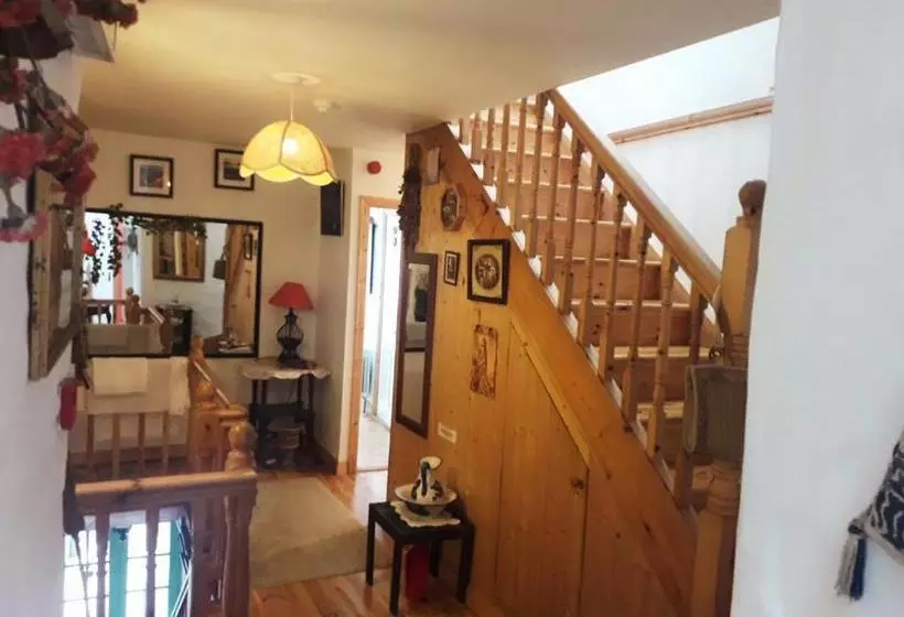 Pensione Vaughans Pub/accommodation