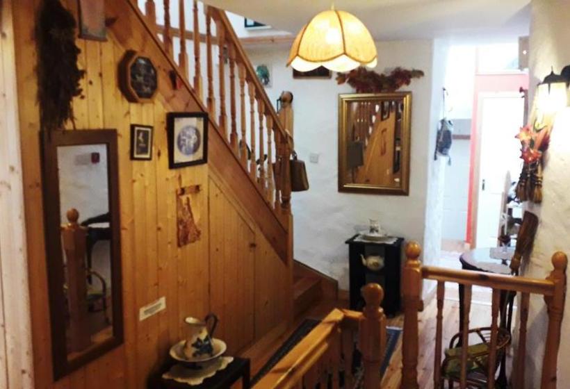 פנסיון Vaughans Pub/accommodation