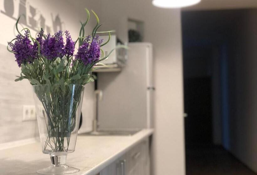 בית מלון כפרי Bonus