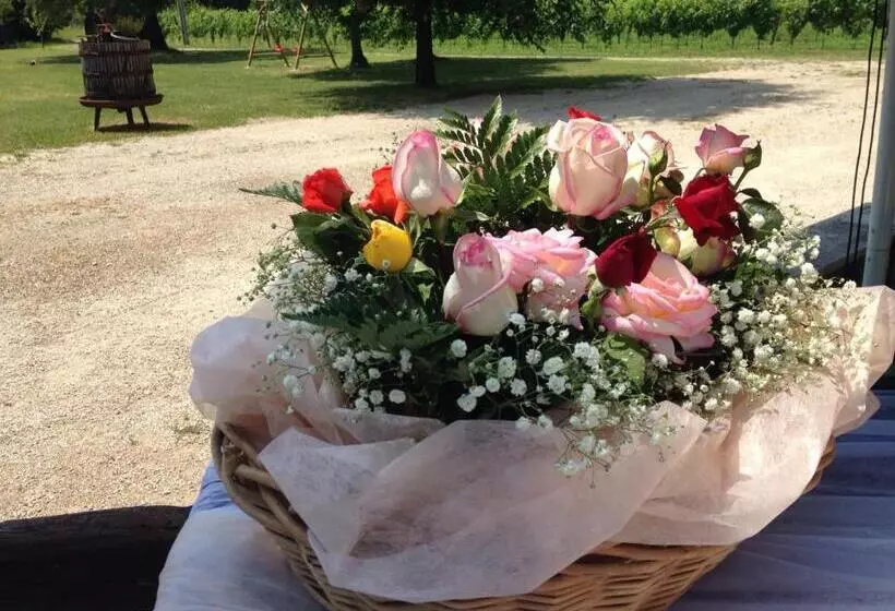 ベッドアンドブレックファースト Agriturismo Le Giarine